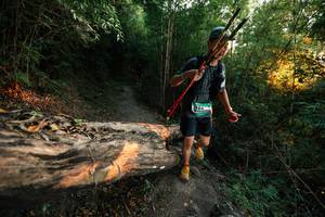 BIB: 
                            <button type="button" onclick="openModal(27949083)" class="btn btn-primary btn-sm float-right btn-popup" data-toggle="modal" data-target=".modal-high-quality">
                        <i class="fas fa-shopping-cart"></i> Add to Cart
                    </button>
                                            <button type="button" onclick="isThisMe(27949083, true)" class="btn btn-success btn-sm float-right btn-popup btn-isme hidden" data-toggle="tooltip" data-placement="bottom" title="นี่คือรูปของคุณใช่ไหม คลิกที่นี่เพื่อเอาเข้าอัลบั้ม">
                        <i class="fas fa-plus"></i> Add to album
                    </button>
                    <button type="button" onclick="isThisMe(27949083, false)" class="btn btn-warning btn-sm float-right btn-popup btn-isnotme hidden">
                        <i class="fas fa-ban"></i> Remove from album
                    </button>