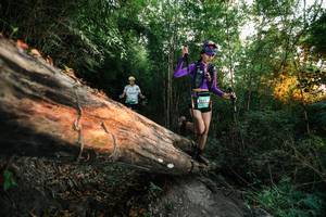 BIB: 
                            <button type="button" onclick="openModal(27957978)" class="btn btn-primary btn-sm float-right btn-popup" data-toggle="modal" data-target=".modal-high-quality">
                        <i class="fas fa-shopping-cart"></i> Add to Cart
                    </button>
                                            <button type="button" onclick="isThisMe(27957978, true)" class="btn btn-success btn-sm float-right btn-popup btn-isme hidden" data-toggle="tooltip" data-placement="bottom" title="นี่คือรูปของคุณใช่ไหม คลิกที่นี่เพื่อเอาเข้าอัลบั้ม">
                        <i class="fas fa-plus"></i> Add to album
                    </button>
                    <button type="button" onclick="isThisMe(27957978, false)" class="btn btn-warning btn-sm float-right btn-popup btn-isnotme hidden">
                        <i class="fas fa-ban"></i> Remove from album
                    </button>