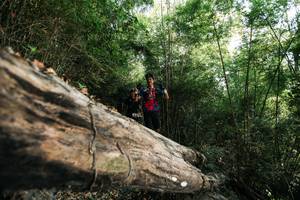 BIB: 
                            <button type="button" onclick="openModal(27934578)" class="btn btn-primary btn-sm float-right btn-popup" data-toggle="modal" data-target=".modal-high-quality">
                        <i class="fas fa-shopping-cart"></i> Add to Cart
                    </button>
                                            <button type="button" onclick="isThisMe(27934578, true)" class="btn btn-success btn-sm float-right btn-popup btn-isme hidden" data-toggle="tooltip" data-placement="bottom" title="นี่คือรูปของคุณใช่ไหม คลิกที่นี่เพื่อเอาเข้าอัลบั้ม">
                        <i class="fas fa-plus"></i> Add to album
                    </button>
                    <button type="button" onclick="isThisMe(27934578, false)" class="btn btn-warning btn-sm float-right btn-popup btn-isnotme hidden">
                        <i class="fas fa-ban"></i> Remove from album
                    </button>