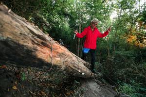 BIB: 
                            <button type="button" onclick="openModal(27958422)" class="btn btn-primary btn-sm float-right btn-popup" data-toggle="modal" data-target=".modal-high-quality">
                        <i class="fas fa-shopping-cart"></i> Add to Cart
                    </button>
                                            <button type="button" onclick="isThisMe(27958422, true)" class="btn btn-success btn-sm float-right btn-popup btn-isme hidden" data-toggle="tooltip" data-placement="bottom" title="นี่คือรูปของคุณใช่ไหม คลิกที่นี่เพื่อเอาเข้าอัลบั้ม">
                        <i class="fas fa-plus"></i> Add to album
                    </button>
                    <button type="button" onclick="isThisMe(27958422, false)" class="btn btn-warning btn-sm float-right btn-popup btn-isnotme hidden">
                        <i class="fas fa-ban"></i> Remove from album
                    </button>