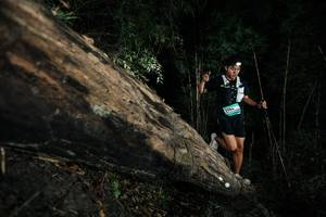 BIB: 
                            <button type="button" onclick="openModal(27964747)" class="btn btn-primary btn-sm float-right btn-popup" data-toggle="modal" data-target=".modal-high-quality">
                        <i class="fas fa-shopping-cart"></i> Add to Cart
                    </button>
                                            <button type="button" onclick="isThisMe(27964747, true)" class="btn btn-success btn-sm float-right btn-popup btn-isme hidden" data-toggle="tooltip" data-placement="bottom" title="นี่คือรูปของคุณใช่ไหม คลิกที่นี่เพื่อเอาเข้าอัลบั้ม">
                        <i class="fas fa-plus"></i> Add to album
                    </button>
                    <button type="button" onclick="isThisMe(27964747, false)" class="btn btn-warning btn-sm float-right btn-popup btn-isnotme hidden">
                        <i class="fas fa-ban"></i> Remove from album
                    </button>