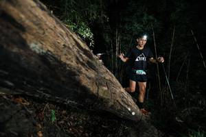 BIB: 
                            <button type="button" onclick="openModal(27964615)" class="btn btn-primary btn-sm float-right btn-popup" data-toggle="modal" data-target=".modal-high-quality">
                        <i class="fas fa-shopping-cart"></i> Add to Cart
                    </button>
                                            <button type="button" onclick="isThisMe(27964615, true)" class="btn btn-success btn-sm float-right btn-popup btn-isme hidden" data-toggle="tooltip" data-placement="bottom" title="นี่คือรูปของคุณใช่ไหม คลิกที่นี่เพื่อเอาเข้าอัลบั้ม">
                        <i class="fas fa-plus"></i> Add to album
                    </button>
                    <button type="button" onclick="isThisMe(27964615, false)" class="btn btn-warning btn-sm float-right btn-popup btn-isnotme hidden">
                        <i class="fas fa-ban"></i> Remove from album
                    </button>