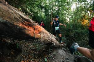 BIB: 
                            <button type="button" onclick="openModal(27958280)" class="btn btn-primary btn-sm float-right btn-popup" data-toggle="modal" data-target=".modal-high-quality">
                        <i class="fas fa-shopping-cart"></i> Add to Cart
                    </button>
                                            <button type="button" onclick="isThisMe(27958280, true)" class="btn btn-success btn-sm float-right btn-popup btn-isme hidden" data-toggle="tooltip" data-placement="bottom" title="นี่คือรูปของคุณใช่ไหม คลิกที่นี่เพื่อเอาเข้าอัลบั้ม">
                        <i class="fas fa-plus"></i> Add to album
                    </button>
                    <button type="button" onclick="isThisMe(27958280, false)" class="btn btn-warning btn-sm float-right btn-popup btn-isnotme hidden">
                        <i class="fas fa-ban"></i> Remove from album
                    </button>