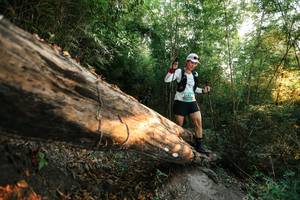 BIB: 
                            <button type="button" onclick="openModal(27944780)" class="btn btn-primary btn-sm float-right btn-popup" data-toggle="modal" data-target=".modal-high-quality">
                        <i class="fas fa-shopping-cart"></i> Add to Cart
                    </button>
                                            <button type="button" onclick="isThisMe(27944780, true)" class="btn btn-success btn-sm float-right btn-popup btn-isme hidden" data-toggle="tooltip" data-placement="bottom" title="นี่คือรูปของคุณใช่ไหม คลิกที่นี่เพื่อเอาเข้าอัลบั้ม">
                        <i class="fas fa-plus"></i> Add to album
                    </button>
                    <button type="button" onclick="isThisMe(27944780, false)" class="btn btn-warning btn-sm float-right btn-popup btn-isnotme hidden">
                        <i class="fas fa-ban"></i> Remove from album
                    </button>