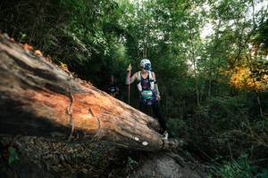 BIB: 
                            <button type="button" onclick="openModal(27958036)" class="btn btn-primary btn-sm float-right btn-popup" data-toggle="modal" data-target=".modal-high-quality">
                        <i class="fas fa-shopping-cart"></i> Add to Cart
                    </button>
                                            <button type="button" onclick="isThisMe(27958036, true)" class="btn btn-success btn-sm float-right btn-popup btn-isme hidden" data-toggle="tooltip" data-placement="bottom" title="นี่คือรูปของคุณใช่ไหม คลิกที่นี่เพื่อเอาเข้าอัลบั้ม">
                        <i class="fas fa-plus"></i> Add to album
                    </button>
                    <button type="button" onclick="isThisMe(27958036, false)" class="btn btn-warning btn-sm float-right btn-popup btn-isnotme hidden">
                        <i class="fas fa-ban"></i> Remove from album
                    </button>