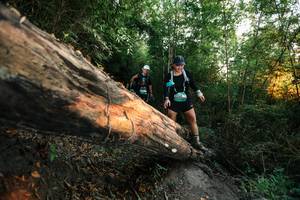 BIB: 
                            <button type="button" onclick="openModal(27949541)" class="btn btn-primary btn-sm float-right btn-popup" data-toggle="modal" data-target=".modal-high-quality">
                        <i class="fas fa-shopping-cart"></i> Add to Cart
                    </button>
                                            <button type="button" onclick="isThisMe(27949541, true)" class="btn btn-success btn-sm float-right btn-popup btn-isme hidden" data-toggle="tooltip" data-placement="bottom" title="นี่คือรูปของคุณใช่ไหม คลิกที่นี่เพื่อเอาเข้าอัลบั้ม">
                        <i class="fas fa-plus"></i> Add to album
                    </button>
                    <button type="button" onclick="isThisMe(27949541, false)" class="btn btn-warning btn-sm float-right btn-popup btn-isnotme hidden">
                        <i class="fas fa-ban"></i> Remove from album
                    </button>