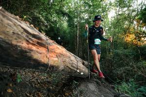 BIB: 
                            <button type="button" onclick="openModal(27958184)" class="btn btn-primary btn-sm float-right btn-popup" data-toggle="modal" data-target=".modal-high-quality">
                        <i class="fas fa-shopping-cart"></i> Add to Cart
                    </button>
                                            <button type="button" onclick="isThisMe(27958184, true)" class="btn btn-success btn-sm float-right btn-popup btn-isme hidden" data-toggle="tooltip" data-placement="bottom" title="นี่คือรูปของคุณใช่ไหม คลิกที่นี่เพื่อเอาเข้าอัลบั้ม">
                        <i class="fas fa-plus"></i> Add to album
                    </button>
                    <button type="button" onclick="isThisMe(27958184, false)" class="btn btn-warning btn-sm float-right btn-popup btn-isnotme hidden">
                        <i class="fas fa-ban"></i> Remove from album
                    </button>