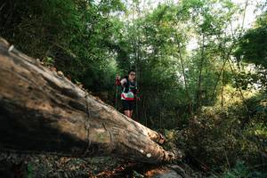 BIB: 
                            <button type="button" onclick="openModal(27935246)" class="btn btn-primary btn-sm float-right btn-popup" data-toggle="modal" data-target=".modal-high-quality">
                        <i class="fas fa-shopping-cart"></i> Add to Cart
                    </button>
                                            <button type="button" onclick="isThisMe(27935246, true)" class="btn btn-success btn-sm float-right btn-popup btn-isme hidden" data-toggle="tooltip" data-placement="bottom" title="นี่คือรูปของคุณใช่ไหม คลิกที่นี่เพื่อเอาเข้าอัลบั้ม">
                        <i class="fas fa-plus"></i> Add to album
                    </button>
                    <button type="button" onclick="isThisMe(27935246, false)" class="btn btn-warning btn-sm float-right btn-popup btn-isnotme hidden">
                        <i class="fas fa-ban"></i> Remove from album
                    </button>