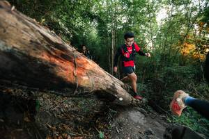 BIB: 
                            <button type="button" onclick="openModal(27958274)" class="btn btn-primary btn-sm float-right btn-popup" data-toggle="modal" data-target=".modal-high-quality">
                        <i class="fas fa-shopping-cart"></i> Add to Cart
                    </button>
                                            <button type="button" onclick="isThisMe(27958274, true)" class="btn btn-success btn-sm float-right btn-popup btn-isme hidden" data-toggle="tooltip" data-placement="bottom" title="นี่คือรูปของคุณใช่ไหม คลิกที่นี่เพื่อเอาเข้าอัลบั้ม">
                        <i class="fas fa-plus"></i> Add to album
                    </button>
                    <button type="button" onclick="isThisMe(27958274, false)" class="btn btn-warning btn-sm float-right btn-popup btn-isnotme hidden">
                        <i class="fas fa-ban"></i> Remove from album
                    </button>