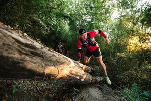 BIB: 
                            <button type="button" onclick="openModal(27942019)" class="btn btn-primary btn-sm float-right btn-popup" data-toggle="modal" data-target=".modal-high-quality">
                        <i class="fas fa-shopping-cart"></i> Add to Cart
                    </button>
                                            <button type="button" onclick="isThisMe(27942019, true)" class="btn btn-success btn-sm float-right btn-popup btn-isme hidden" data-toggle="tooltip" data-placement="bottom" title="นี่คือรูปของคุณใช่ไหม คลิกที่นี่เพื่อเอาเข้าอัลบั้ม">
                        <i class="fas fa-plus"></i> Add to album
                    </button>
                    <button type="button" onclick="isThisMe(27942019, false)" class="btn btn-warning btn-sm float-right btn-popup btn-isnotme hidden">
                        <i class="fas fa-ban"></i> Remove from album
                    </button>