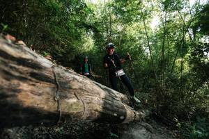 BIB: 
                            <button type="button" onclick="openModal(27934555)" class="btn btn-primary btn-sm float-right btn-popup" data-toggle="modal" data-target=".modal-high-quality">
                        <i class="fas fa-shopping-cart"></i> Add to Cart
                    </button>
                                            <button type="button" onclick="isThisMe(27934555, true)" class="btn btn-success btn-sm float-right btn-popup btn-isme hidden" data-toggle="tooltip" data-placement="bottom" title="นี่คือรูปของคุณใช่ไหม คลิกที่นี่เพื่อเอาเข้าอัลบั้ม">
                        <i class="fas fa-plus"></i> Add to album
                    </button>
                    <button type="button" onclick="isThisMe(27934555, false)" class="btn btn-warning btn-sm float-right btn-popup btn-isnotme hidden">
                        <i class="fas fa-ban"></i> Remove from album
                    </button>