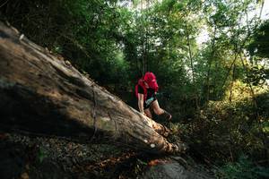 BIB: 
                            <button type="button" onclick="openModal(27935236)" class="btn btn-primary btn-sm float-right btn-popup" data-toggle="modal" data-target=".modal-high-quality">
                        <i class="fas fa-shopping-cart"></i> Add to Cart
                    </button>
                                            <button type="button" onclick="isThisMe(27935236, true)" class="btn btn-success btn-sm float-right btn-popup btn-isme hidden" data-toggle="tooltip" data-placement="bottom" title="นี่คือรูปของคุณใช่ไหม คลิกที่นี่เพื่อเอาเข้าอัลบั้ม">
                        <i class="fas fa-plus"></i> Add to album
                    </button>
                    <button type="button" onclick="isThisMe(27935236, false)" class="btn btn-warning btn-sm float-right btn-popup btn-isnotme hidden">
                        <i class="fas fa-ban"></i> Remove from album
                    </button>