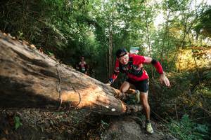 BIB: 
                            <button type="button" onclick="openModal(27942000)" class="btn btn-primary btn-sm float-right btn-popup" data-toggle="modal" data-target=".modal-high-quality">
                        <i class="fas fa-shopping-cart"></i> Add to Cart
                    </button>
                                            <button type="button" onclick="isThisMe(27942000, true)" class="btn btn-success btn-sm float-right btn-popup btn-isme hidden" data-toggle="tooltip" data-placement="bottom" title="นี่คือรูปของคุณใช่ไหม คลิกที่นี่เพื่อเอาเข้าอัลบั้ม">
                        <i class="fas fa-plus"></i> Add to album
                    </button>
                    <button type="button" onclick="isThisMe(27942000, false)" class="btn btn-warning btn-sm float-right btn-popup btn-isnotme hidden">
                        <i class="fas fa-ban"></i> Remove from album
                    </button>