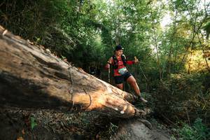 BIB: 
                            <button type="button" onclick="openModal(27941777)" class="btn btn-primary btn-sm float-right btn-popup" data-toggle="modal" data-target=".modal-high-quality">
                        <i class="fas fa-shopping-cart"></i> Add to Cart
                    </button>
                                            <button type="button" onclick="isThisMe(27941777, true)" class="btn btn-success btn-sm float-right btn-popup btn-isme hidden" data-toggle="tooltip" data-placement="bottom" title="นี่คือรูปของคุณใช่ไหม คลิกที่นี่เพื่อเอาเข้าอัลบั้ม">
                        <i class="fas fa-plus"></i> Add to album
                    </button>
                    <button type="button" onclick="isThisMe(27941777, false)" class="btn btn-warning btn-sm float-right btn-popup btn-isnotme hidden">
                        <i class="fas fa-ban"></i> Remove from album
                    </button>