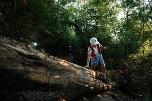 BIB: 
                            <button type="button" onclick="openModal(27935702)" class="btn btn-primary btn-sm float-right btn-popup" data-toggle="modal" data-target=".modal-high-quality">
                        <i class="fas fa-shopping-cart"></i> Add to Cart
                    </button>
                                            <button type="button" onclick="isThisMe(27935702, true)" class="btn btn-success btn-sm float-right btn-popup btn-isme hidden" data-toggle="tooltip" data-placement="bottom" title="นี่คือรูปของคุณใช่ไหม คลิกที่นี่เพื่อเอาเข้าอัลบั้ม">
                        <i class="fas fa-plus"></i> Add to album
                    </button>
                    <button type="button" onclick="isThisMe(27935702, false)" class="btn btn-warning btn-sm float-right btn-popup btn-isnotme hidden">
                        <i class="fas fa-ban"></i> Remove from album
                    </button>