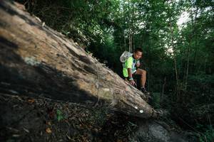 BIB: 
                            <button type="button" onclick="openModal(27959263)" class="btn btn-primary btn-sm float-right btn-popup" data-toggle="modal" data-target=".modal-high-quality">
                        <i class="fas fa-shopping-cart"></i> Add to Cart
                    </button>
                                            <button type="button" onclick="isThisMe(27959263, true)" class="btn btn-success btn-sm float-right btn-popup btn-isme hidden" data-toggle="tooltip" data-placement="bottom" title="นี่คือรูปของคุณใช่ไหม คลิกที่นี่เพื่อเอาเข้าอัลบั้ม">
                        <i class="fas fa-plus"></i> Add to album
                    </button>
                    <button type="button" onclick="isThisMe(27959263, false)" class="btn btn-warning btn-sm float-right btn-popup btn-isnotme hidden">
                        <i class="fas fa-ban"></i> Remove from album
                    </button>