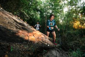 BIB: 
                            <button type="button" onclick="openModal(27950157)" class="btn btn-primary btn-sm float-right btn-popup" data-toggle="modal" data-target=".modal-high-quality">
                        <i class="fas fa-shopping-cart"></i> Add to Cart
                    </button>
                                            <button type="button" onclick="isThisMe(27950157, true)" class="btn btn-success btn-sm float-right btn-popup btn-isme hidden" data-toggle="tooltip" data-placement="bottom" title="นี่คือรูปของคุณใช่ไหม คลิกที่นี่เพื่อเอาเข้าอัลบั้ม">
                        <i class="fas fa-plus"></i> Add to album
                    </button>
                    <button type="button" onclick="isThisMe(27950157, false)" class="btn btn-warning btn-sm float-right btn-popup btn-isnotme hidden">
                        <i class="fas fa-ban"></i> Remove from album
                    </button>