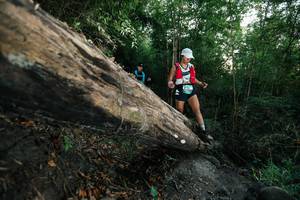 BIB: 
                            <button type="button" onclick="openModal(27958997)" class="btn btn-primary btn-sm float-right btn-popup" data-toggle="modal" data-target=".modal-high-quality">
                        <i class="fas fa-shopping-cart"></i> Add to Cart
                    </button>
                                            <button type="button" onclick="isThisMe(27958997, true)" class="btn btn-success btn-sm float-right btn-popup btn-isme hidden" data-toggle="tooltip" data-placement="bottom" title="นี่คือรูปของคุณใช่ไหม คลิกที่นี่เพื่อเอาเข้าอัลบั้ม">
                        <i class="fas fa-plus"></i> Add to album
                    </button>
                    <button type="button" onclick="isThisMe(27958997, false)" class="btn btn-warning btn-sm float-right btn-popup btn-isnotme hidden">
                        <i class="fas fa-ban"></i> Remove from album
                    </button>