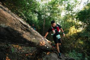 BIB: 
                            <button type="button" onclick="openModal(27937336)" class="btn btn-primary btn-sm float-right btn-popup" data-toggle="modal" data-target=".modal-high-quality">
                        <i class="fas fa-shopping-cart"></i> Add to Cart
                    </button>
                                            <button type="button" onclick="isThisMe(27937336, true)" class="btn btn-success btn-sm float-right btn-popup btn-isme hidden" data-toggle="tooltip" data-placement="bottom" title="นี่คือรูปของคุณใช่ไหม คลิกที่นี่เพื่อเอาเข้าอัลบั้ม">
                        <i class="fas fa-plus"></i> Add to album
                    </button>
                    <button type="button" onclick="isThisMe(27937336, false)" class="btn btn-warning btn-sm float-right btn-popup btn-isnotme hidden">
                        <i class="fas fa-ban"></i> Remove from album
                    </button>