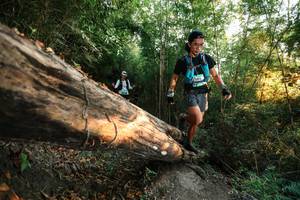 BIB: 
                            <button type="button" onclick="openModal(27945247)" class="btn btn-primary btn-sm float-right btn-popup" data-toggle="modal" data-target=".modal-high-quality">
                        <i class="fas fa-shopping-cart"></i> Add to Cart
                    </button>
                                            <button type="button" onclick="isThisMe(27945247, true)" class="btn btn-success btn-sm float-right btn-popup btn-isme hidden" data-toggle="tooltip" data-placement="bottom" title="นี่คือรูปของคุณใช่ไหม คลิกที่นี่เพื่อเอาเข้าอัลบั้ม">
                        <i class="fas fa-plus"></i> Add to album
                    </button>
                    <button type="button" onclick="isThisMe(27945247, false)" class="btn btn-warning btn-sm float-right btn-popup btn-isnotme hidden">
                        <i class="fas fa-ban"></i> Remove from album
                    </button>