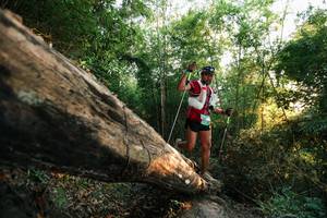 BIB: 
                            <button type="button" onclick="openModal(27937587)" class="btn btn-primary btn-sm float-right btn-popup" data-toggle="modal" data-target=".modal-high-quality">
                        <i class="fas fa-shopping-cart"></i> Add to Cart
                    </button>
                                            <button type="button" onclick="isThisMe(27937587, true)" class="btn btn-success btn-sm float-right btn-popup btn-isme hidden" data-toggle="tooltip" data-placement="bottom" title="นี่คือรูปของคุณใช่ไหม คลิกที่นี่เพื่อเอาเข้าอัลบั้ม">
                        <i class="fas fa-plus"></i> Add to album
                    </button>
                    <button type="button" onclick="isThisMe(27937587, false)" class="btn btn-warning btn-sm float-right btn-popup btn-isnotme hidden">
                        <i class="fas fa-ban"></i> Remove from album
                    </button>