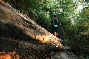 BIB: 
                            <button type="button" onclick="openModal(27944110)" class="btn btn-primary btn-sm float-right btn-popup" data-toggle="modal" data-target=".modal-high-quality">
                        <i class="fas fa-shopping-cart"></i> Add to Cart
                    </button>
                                            <button type="button" onclick="isThisMe(27944110, true)" class="btn btn-success btn-sm float-right btn-popup btn-isme hidden" data-toggle="tooltip" data-placement="bottom" title="นี่คือรูปของคุณใช่ไหม คลิกที่นี่เพื่อเอาเข้าอัลบั้ม">
                        <i class="fas fa-plus"></i> Add to album
                    </button>
                    <button type="button" onclick="isThisMe(27944110, false)" class="btn btn-warning btn-sm float-right btn-popup btn-isnotme hidden">
                        <i class="fas fa-ban"></i> Remove from album
                    </button>