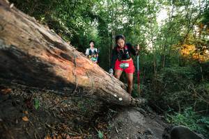 BIB: 
                            <button type="button" onclick="openModal(27958258)" class="btn btn-primary btn-sm float-right btn-popup" data-toggle="modal" data-target=".modal-high-quality">
                        <i class="fas fa-shopping-cart"></i> Add to Cart
                    </button>
                                            <button type="button" onclick="isThisMe(27958258, true)" class="btn btn-success btn-sm float-right btn-popup btn-isme hidden" data-toggle="tooltip" data-placement="bottom" title="นี่คือรูปของคุณใช่ไหม คลิกที่นี่เพื่อเอาเข้าอัลบั้ม">
                        <i class="fas fa-plus"></i> Add to album
                    </button>
                    <button type="button" onclick="isThisMe(27958258, false)" class="btn btn-warning btn-sm float-right btn-popup btn-isnotme hidden">
                        <i class="fas fa-ban"></i> Remove from album
                    </button>