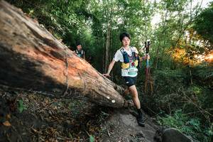 BIB: 
                            <button type="button" onclick="openModal(27958243)" class="btn btn-primary btn-sm float-right btn-popup" data-toggle="modal" data-target=".modal-high-quality">
                        <i class="fas fa-shopping-cart"></i> Add to Cart
                    </button>
                                            <button type="button" onclick="isThisMe(27958243, true)" class="btn btn-success btn-sm float-right btn-popup btn-isme hidden" data-toggle="tooltip" data-placement="bottom" title="นี่คือรูปของคุณใช่ไหม คลิกที่นี่เพื่อเอาเข้าอัลบั้ม">
                        <i class="fas fa-plus"></i> Add to album
                    </button>
                    <button type="button" onclick="isThisMe(27958243, false)" class="btn btn-warning btn-sm float-right btn-popup btn-isnotme hidden">
                        <i class="fas fa-ban"></i> Remove from album
                    </button>