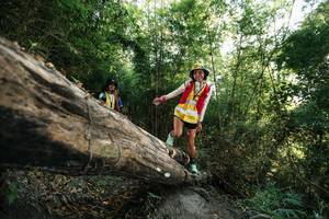 BIB: 
                            <button type="button" onclick="openModal(27935396)" class="btn btn-primary btn-sm float-right btn-popup" data-toggle="modal" data-target=".modal-high-quality">
                        <i class="fas fa-shopping-cart"></i> Add to Cart
                    </button>
                                            <button type="button" onclick="isThisMe(27935396, true)" class="btn btn-success btn-sm float-right btn-popup btn-isme hidden" data-toggle="tooltip" data-placement="bottom" title="นี่คือรูปของคุณใช่ไหม คลิกที่นี่เพื่อเอาเข้าอัลบั้ม">
                        <i class="fas fa-plus"></i> Add to album
                    </button>
                    <button type="button" onclick="isThisMe(27935396, false)" class="btn btn-warning btn-sm float-right btn-popup btn-isnotme hidden">
                        <i class="fas fa-ban"></i> Remove from album
                    </button>