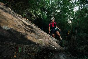 BIB: 
                            <button type="button" onclick="openModal(27959738)" class="btn btn-primary btn-sm float-right btn-popup" data-toggle="modal" data-target=".modal-high-quality">
                        <i class="fas fa-shopping-cart"></i> Add to Cart
                    </button>
                                            <button type="button" onclick="isThisMe(27959738, true)" class="btn btn-success btn-sm float-right btn-popup btn-isme hidden" data-toggle="tooltip" data-placement="bottom" title="นี่คือรูปของคุณใช่ไหม คลิกที่นี่เพื่อเอาเข้าอัลบั้ม">
                        <i class="fas fa-plus"></i> Add to album
                    </button>
                    <button type="button" onclick="isThisMe(27959738, false)" class="btn btn-warning btn-sm float-right btn-popup btn-isnotme hidden">
                        <i class="fas fa-ban"></i> Remove from album
                    </button>