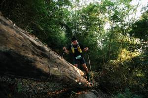 BIB: 
                            <button type="button" onclick="openModal(27935728)" class="btn btn-primary btn-sm float-right btn-popup" data-toggle="modal" data-target=".modal-high-quality">
                        <i class="fas fa-shopping-cart"></i> Add to Cart
                    </button>
                                            <button type="button" onclick="isThisMe(27935728, true)" class="btn btn-success btn-sm float-right btn-popup btn-isme hidden" data-toggle="tooltip" data-placement="bottom" title="นี่คือรูปของคุณใช่ไหม คลิกที่นี่เพื่อเอาเข้าอัลบั้ม">
                        <i class="fas fa-plus"></i> Add to album
                    </button>
                    <button type="button" onclick="isThisMe(27935728, false)" class="btn btn-warning btn-sm float-right btn-popup btn-isnotme hidden">
                        <i class="fas fa-ban"></i> Remove from album
                    </button>