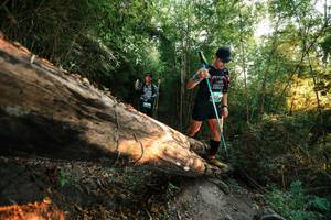 BIB: 
                            <button type="button" onclick="openModal(27942390)" class="btn btn-primary btn-sm float-right btn-popup" data-toggle="modal" data-target=".modal-high-quality">
                        <i class="fas fa-shopping-cart"></i> Add to Cart
                    </button>
                                            <button type="button" onclick="isThisMe(27942390, true)" class="btn btn-success btn-sm float-right btn-popup btn-isme hidden" data-toggle="tooltip" data-placement="bottom" title="นี่คือรูปของคุณใช่ไหม คลิกที่นี่เพื่อเอาเข้าอัลบั้ม">
                        <i class="fas fa-plus"></i> Add to album
                    </button>
                    <button type="button" onclick="isThisMe(27942390, false)" class="btn btn-warning btn-sm float-right btn-popup btn-isnotme hidden">
                        <i class="fas fa-ban"></i> Remove from album
                    </button>