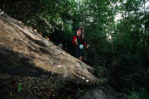 BIB: 
                            <button type="button" onclick="openModal(27959455)" class="btn btn-primary btn-sm float-right btn-popup" data-toggle="modal" data-target=".modal-high-quality">
                        <i class="fas fa-shopping-cart"></i> Add to Cart
                    </button>
                                            <button type="button" onclick="isThisMe(27959455, true)" class="btn btn-success btn-sm float-right btn-popup btn-isme hidden" data-toggle="tooltip" data-placement="bottom" title="นี่คือรูปของคุณใช่ไหม คลิกที่นี่เพื่อเอาเข้าอัลบั้ม">
                        <i class="fas fa-plus"></i> Add to album
                    </button>
                    <button type="button" onclick="isThisMe(27959455, false)" class="btn btn-warning btn-sm float-right btn-popup btn-isnotme hidden">
                        <i class="fas fa-ban"></i> Remove from album
                    </button>