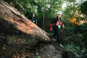 BIB: 
                            <button type="button" onclick="openModal(27958336)" class="btn btn-primary btn-sm float-right btn-popup" data-toggle="modal" data-target=".modal-high-quality">
                        <i class="fas fa-shopping-cart"></i> Add to Cart
                    </button>
                                            <button type="button" onclick="isThisMe(27958336, true)" class="btn btn-success btn-sm float-right btn-popup btn-isme hidden" data-toggle="tooltip" data-placement="bottom" title="นี่คือรูปของคุณใช่ไหม คลิกที่นี่เพื่อเอาเข้าอัลบั้ม">
                        <i class="fas fa-plus"></i> Add to album
                    </button>
                    <button type="button" onclick="isThisMe(27958336, false)" class="btn btn-warning btn-sm float-right btn-popup btn-isnotme hidden">
                        <i class="fas fa-ban"></i> Remove from album
                    </button>