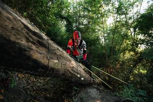 BIB: 
                            <button type="button" onclick="openModal(27935558)" class="btn btn-primary btn-sm float-right btn-popup" data-toggle="modal" data-target=".modal-high-quality">
                        <i class="fas fa-shopping-cart"></i> Add to Cart
                    </button>
                                            <button type="button" onclick="isThisMe(27935558, true)" class="btn btn-success btn-sm float-right btn-popup btn-isme hidden" data-toggle="tooltip" data-placement="bottom" title="นี่คือรูปของคุณใช่ไหม คลิกที่นี่เพื่อเอาเข้าอัลบั้ม">
                        <i class="fas fa-plus"></i> Add to album
                    </button>
                    <button type="button" onclick="isThisMe(27935558, false)" class="btn btn-warning btn-sm float-right btn-popup btn-isnotme hidden">
                        <i class="fas fa-ban"></i> Remove from album
                    </button>