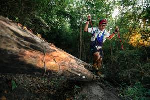 BIB: 
                            <button type="button" onclick="openModal(27951646)" class="btn btn-primary btn-sm float-right btn-popup" data-toggle="modal" data-target=".modal-high-quality">
                        <i class="fas fa-shopping-cart"></i> Add to Cart
                    </button>
                                            <button type="button" onclick="isThisMe(27951646, true)" class="btn btn-success btn-sm float-right btn-popup btn-isme hidden" data-toggle="tooltip" data-placement="bottom" title="นี่คือรูปของคุณใช่ไหม คลิกที่นี่เพื่อเอาเข้าอัลบั้ม">
                        <i class="fas fa-plus"></i> Add to album
                    </button>
                    <button type="button" onclick="isThisMe(27951646, false)" class="btn btn-warning btn-sm float-right btn-popup btn-isnotme hidden">
                        <i class="fas fa-ban"></i> Remove from album
                    </button>