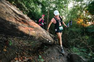 BIB: 
                            <button type="button" onclick="openModal(27958380)" class="btn btn-primary btn-sm float-right btn-popup" data-toggle="modal" data-target=".modal-high-quality">
                        <i class="fas fa-shopping-cart"></i> Add to Cart
                    </button>
                                            <button type="button" onclick="isThisMe(27958380, true)" class="btn btn-success btn-sm float-right btn-popup btn-isme hidden" data-toggle="tooltip" data-placement="bottom" title="นี่คือรูปของคุณใช่ไหม คลิกที่นี่เพื่อเอาเข้าอัลบั้ม">
                        <i class="fas fa-plus"></i> Add to album
                    </button>
                    <button type="button" onclick="isThisMe(27958380, false)" class="btn btn-warning btn-sm float-right btn-popup btn-isnotme hidden">
                        <i class="fas fa-ban"></i> Remove from album
                    </button>