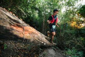 BIB: 
                            <button type="button" onclick="openModal(27958171)" class="btn btn-primary btn-sm float-right btn-popup" data-toggle="modal" data-target=".modal-high-quality">
                        <i class="fas fa-shopping-cart"></i> Add to Cart
                    </button>
                                            <button type="button" onclick="isThisMe(27958171, true)" class="btn btn-success btn-sm float-right btn-popup btn-isme hidden" data-toggle="tooltip" data-placement="bottom" title="นี่คือรูปของคุณใช่ไหม คลิกที่นี่เพื่อเอาเข้าอัลบั้ม">
                        <i class="fas fa-plus"></i> Add to album
                    </button>
                    <button type="button" onclick="isThisMe(27958171, false)" class="btn btn-warning btn-sm float-right btn-popup btn-isnotme hidden">
                        <i class="fas fa-ban"></i> Remove from album
                    </button>