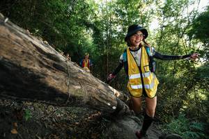 BIB: 
                            <button type="button" onclick="openModal(27935386)" class="btn btn-primary btn-sm float-right btn-popup" data-toggle="modal" data-target=".modal-high-quality">
                        <i class="fas fa-shopping-cart"></i> Add to Cart
                    </button>
                                            <button type="button" onclick="isThisMe(27935386, true)" class="btn btn-success btn-sm float-right btn-popup btn-isme hidden" data-toggle="tooltip" data-placement="bottom" title="นี่คือรูปของคุณใช่ไหม คลิกที่นี่เพื่อเอาเข้าอัลบั้ม">
                        <i class="fas fa-plus"></i> Add to album
                    </button>
                    <button type="button" onclick="isThisMe(27935386, false)" class="btn btn-warning btn-sm float-right btn-popup btn-isnotme hidden">
                        <i class="fas fa-ban"></i> Remove from album
                    </button>