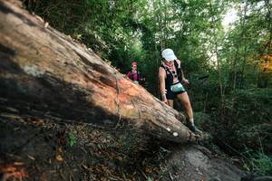 BIB: 
                            <button type="button" onclick="openModal(27958381)" class="btn btn-primary btn-sm float-right btn-popup" data-toggle="modal" data-target=".modal-high-quality">
                        <i class="fas fa-shopping-cart"></i> Add to Cart
                    </button>
                                            <button type="button" onclick="isThisMe(27958381, true)" class="btn btn-success btn-sm float-right btn-popup btn-isme hidden" data-toggle="tooltip" data-placement="bottom" title="นี่คือรูปของคุณใช่ไหม คลิกที่นี่เพื่อเอาเข้าอัลบั้ม">
                        <i class="fas fa-plus"></i> Add to album
                    </button>
                    <button type="button" onclick="isThisMe(27958381, false)" class="btn btn-warning btn-sm float-right btn-popup btn-isnotme hidden">
                        <i class="fas fa-ban"></i> Remove from album
                    </button>