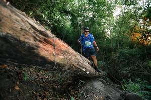 BIB: 
                            <button type="button" onclick="openModal(27958525)" class="btn btn-primary btn-sm float-right btn-popup" data-toggle="modal" data-target=".modal-high-quality">
                        <i class="fas fa-shopping-cart"></i> Add to Cart
                    </button>
                                            <button type="button" onclick="isThisMe(27958525, true)" class="btn btn-success btn-sm float-right btn-popup btn-isme hidden" data-toggle="tooltip" data-placement="bottom" title="นี่คือรูปของคุณใช่ไหม คลิกที่นี่เพื่อเอาเข้าอัลบั้ม">
                        <i class="fas fa-plus"></i> Add to album
                    </button>
                    <button type="button" onclick="isThisMe(27958525, false)" class="btn btn-warning btn-sm float-right btn-popup btn-isnotme hidden">
                        <i class="fas fa-ban"></i> Remove from album
                    </button>