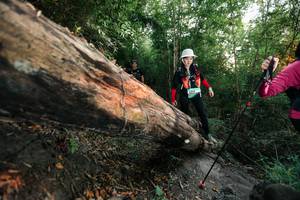 BIB: 
                            <button type="button" onclick="openModal(27958356)" class="btn btn-primary btn-sm float-right btn-popup" data-toggle="modal" data-target=".modal-high-quality">
                        <i class="fas fa-shopping-cart"></i> Add to Cart
                    </button>
                                            <button type="button" onclick="isThisMe(27958356, true)" class="btn btn-success btn-sm float-right btn-popup btn-isme hidden" data-toggle="tooltip" data-placement="bottom" title="นี่คือรูปของคุณใช่ไหม คลิกที่นี่เพื่อเอาเข้าอัลบั้ม">
                        <i class="fas fa-plus"></i> Add to album
                    </button>
                    <button type="button" onclick="isThisMe(27958356, false)" class="btn btn-warning btn-sm float-right btn-popup btn-isnotme hidden">
                        <i class="fas fa-ban"></i> Remove from album
                    </button>