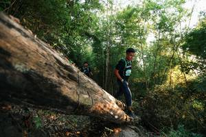 BIB: 
                            <button type="button" onclick="openModal(27937254)" class="btn btn-primary btn-sm float-right btn-popup" data-toggle="modal" data-target=".modal-high-quality">
                        <i class="fas fa-shopping-cart"></i> Add to Cart
                    </button>
                                            <button type="button" onclick="isThisMe(27937254, true)" class="btn btn-success btn-sm float-right btn-popup btn-isme hidden" data-toggle="tooltip" data-placement="bottom" title="นี่คือรูปของคุณใช่ไหม คลิกที่นี่เพื่อเอาเข้าอัลบั้ม">
                        <i class="fas fa-plus"></i> Add to album
                    </button>
                    <button type="button" onclick="isThisMe(27937254, false)" class="btn btn-warning btn-sm float-right btn-popup btn-isnotme hidden">
                        <i class="fas fa-ban"></i> Remove from album
                    </button>