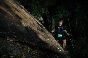 BIB: 
                            <button type="button" onclick="openModal(27964037)" class="btn btn-primary btn-sm float-right btn-popup" data-toggle="modal" data-target=".modal-high-quality">
                        <i class="fas fa-shopping-cart"></i> Add to Cart
                    </button>
                                            <button type="button" onclick="isThisMe(27964037, true)" class="btn btn-success btn-sm float-right btn-popup btn-isme hidden" data-toggle="tooltip" data-placement="bottom" title="นี่คือรูปของคุณใช่ไหม คลิกที่นี่เพื่อเอาเข้าอัลบั้ม">
                        <i class="fas fa-plus"></i> Add to album
                    </button>
                    <button type="button" onclick="isThisMe(27964037, false)" class="btn btn-warning btn-sm float-right btn-popup btn-isnotme hidden">
                        <i class="fas fa-ban"></i> Remove from album
                    </button>