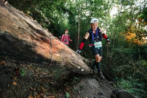 BIB: 
                            <button type="button" onclick="openModal(27958397)" class="btn btn-primary btn-sm float-right btn-popup" data-toggle="modal" data-target=".modal-high-quality">
                        <i class="fas fa-shopping-cart"></i> Add to Cart
                    </button>
                                            <button type="button" onclick="isThisMe(27958397, true)" class="btn btn-success btn-sm float-right btn-popup btn-isme hidden" data-toggle="tooltip" data-placement="bottom" title="นี่คือรูปของคุณใช่ไหม คลิกที่นี่เพื่อเอาเข้าอัลบั้ม">
                        <i class="fas fa-plus"></i> Add to album
                    </button>
                    <button type="button" onclick="isThisMe(27958397, false)" class="btn btn-warning btn-sm float-right btn-popup btn-isnotme hidden">
                        <i class="fas fa-ban"></i> Remove from album
                    </button>