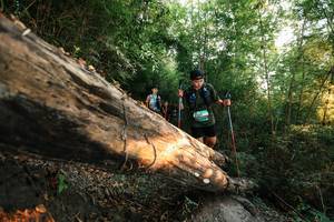 BIB: 
                            <button type="button" onclick="openModal(27944629)" class="btn btn-primary btn-sm float-right btn-popup" data-toggle="modal" data-target=".modal-high-quality">
                        <i class="fas fa-shopping-cart"></i> Add to Cart
                    </button>
                                            <button type="button" onclick="isThisMe(27944629, true)" class="btn btn-success btn-sm float-right btn-popup btn-isme hidden" data-toggle="tooltip" data-placement="bottom" title="นี่คือรูปของคุณใช่ไหม คลิกที่นี่เพื่อเอาเข้าอัลบั้ม">
                        <i class="fas fa-plus"></i> Add to album
                    </button>
                    <button type="button" onclick="isThisMe(27944629, false)" class="btn btn-warning btn-sm float-right btn-popup btn-isnotme hidden">
                        <i class="fas fa-ban"></i> Remove from album
                    </button>