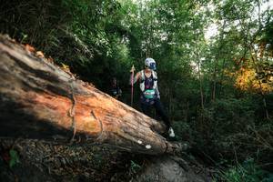 BIB: 
                            <button type="button" onclick="openModal(27958001)" class="btn btn-primary btn-sm float-right btn-popup" data-toggle="modal" data-target=".modal-high-quality">
                        <i class="fas fa-shopping-cart"></i> Add to Cart
                    </button>
                                            <button type="button" onclick="isThisMe(27958001, true)" class="btn btn-success btn-sm float-right btn-popup btn-isme hidden" data-toggle="tooltip" data-placement="bottom" title="นี่คือรูปของคุณใช่ไหม คลิกที่นี่เพื่อเอาเข้าอัลบั้ม">
                        <i class="fas fa-plus"></i> Add to album
                    </button>
                    <button type="button" onclick="isThisMe(27958001, false)" class="btn btn-warning btn-sm float-right btn-popup btn-isnotme hidden">
                        <i class="fas fa-ban"></i> Remove from album
                    </button>