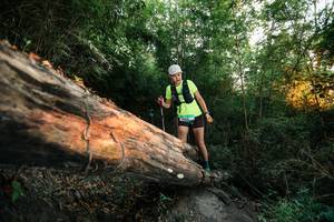 BIB: 
                            <button type="button" onclick="openModal(27957935)" class="btn btn-primary btn-sm float-right btn-popup" data-toggle="modal" data-target=".modal-high-quality">
                        <i class="fas fa-shopping-cart"></i> Add to Cart
                    </button>
                                            <button type="button" onclick="isThisMe(27957935, true)" class="btn btn-success btn-sm float-right btn-popup btn-isme hidden" data-toggle="tooltip" data-placement="bottom" title="นี่คือรูปของคุณใช่ไหม คลิกที่นี่เพื่อเอาเข้าอัลบั้ม">
                        <i class="fas fa-plus"></i> Add to album
                    </button>
                    <button type="button" onclick="isThisMe(27957935, false)" class="btn btn-warning btn-sm float-right btn-popup btn-isnotme hidden">
                        <i class="fas fa-ban"></i> Remove from album
                    </button>