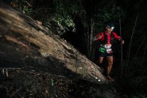 BIB: 
                            <button type="button" onclick="openModal(27965713)" class="btn btn-primary btn-sm float-right btn-popup" data-toggle="modal" data-target=".modal-high-quality">
                        <i class="fas fa-shopping-cart"></i> Add to Cart
                    </button>
                                            <button type="button" onclick="isThisMe(27965713, true)" class="btn btn-success btn-sm float-right btn-popup btn-isme hidden" data-toggle="tooltip" data-placement="bottom" title="นี่คือรูปของคุณใช่ไหม คลิกที่นี่เพื่อเอาเข้าอัลบั้ม">
                        <i class="fas fa-plus"></i> Add to album
                    </button>
                    <button type="button" onclick="isThisMe(27965713, false)" class="btn btn-warning btn-sm float-right btn-popup btn-isnotme hidden">
                        <i class="fas fa-ban"></i> Remove from album
                    </button>