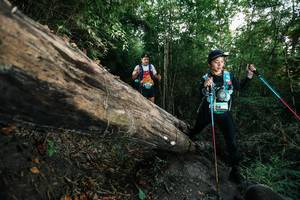 BIB: 
                            <button type="button" onclick="openModal(27958914)" class="btn btn-primary btn-sm float-right btn-popup" data-toggle="modal" data-target=".modal-high-quality">
                        <i class="fas fa-shopping-cart"></i> Add to Cart
                    </button>
                                            <button type="button" onclick="isThisMe(27958914, true)" class="btn btn-success btn-sm float-right btn-popup btn-isme hidden" data-toggle="tooltip" data-placement="bottom" title="นี่คือรูปของคุณใช่ไหม คลิกที่นี่เพื่อเอาเข้าอัลบั้ม">
                        <i class="fas fa-plus"></i> Add to album
                    </button>
                    <button type="button" onclick="isThisMe(27958914, false)" class="btn btn-warning btn-sm float-right btn-popup btn-isnotme hidden">
                        <i class="fas fa-ban"></i> Remove from album
                    </button>